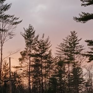 Meet your Posher, Lilly